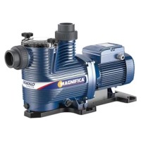 ELECTROBOMBAS AUTOCEBANTES PISCINA PEDROLLO MAGNIFICA 4M - 2 HP